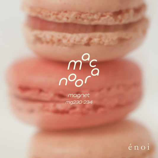 macaroon magnet