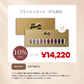 flash set 10色 set (ノベルティなし)